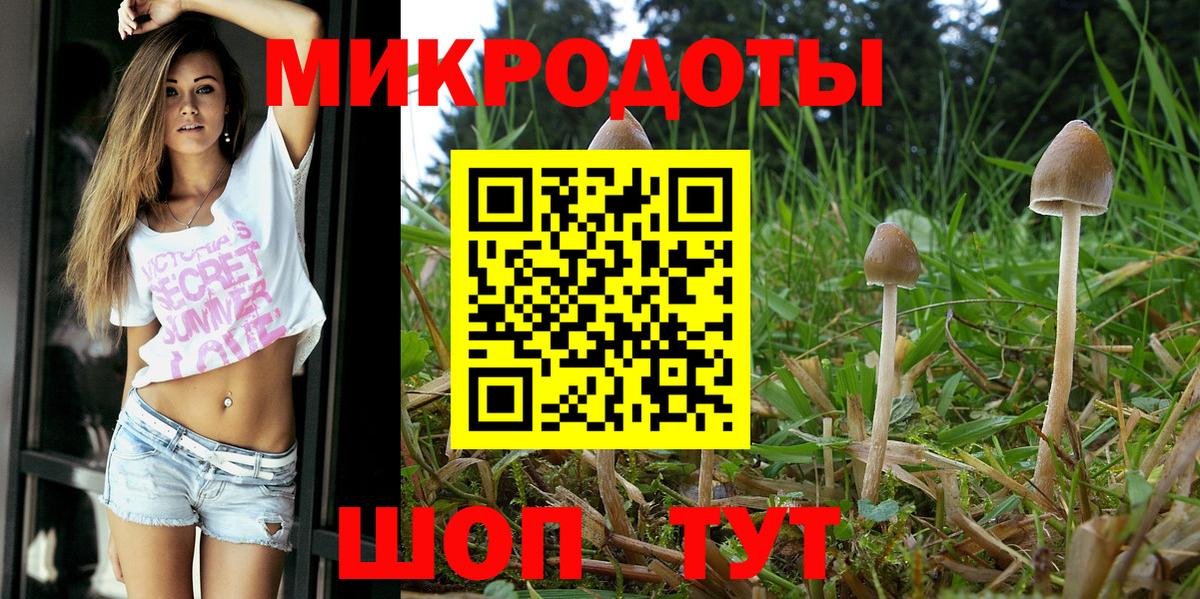 Галлюциногенные грибы прущие грибы Ефремов